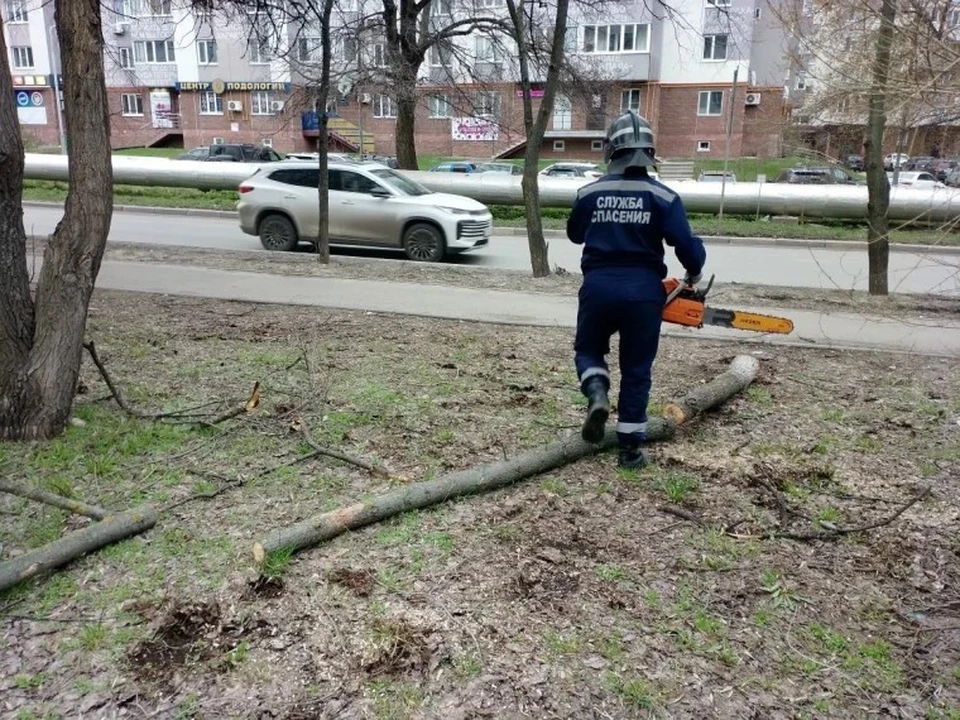 В Ульяновске убирают упавшие из-за штормового ветра стволы деревьев | ФОТО: администрация Ульяновска