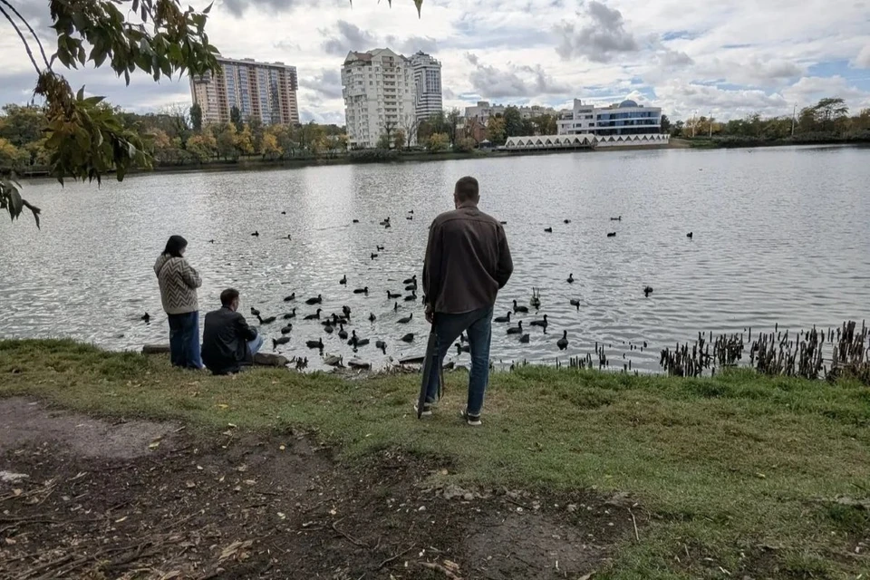 Озеро в Дмитриевском сквере