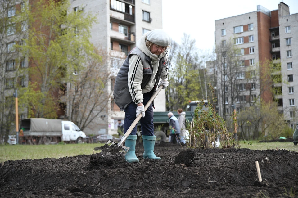 В Краснодаре перед майскими праздниками проведут субботник.
