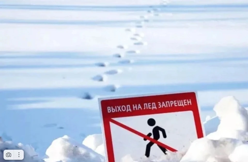 Фото: администрация Нового Уренгоя