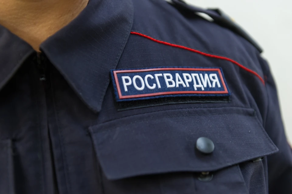 Приметы ребенка сразу же передали всем дежурным нарядам.