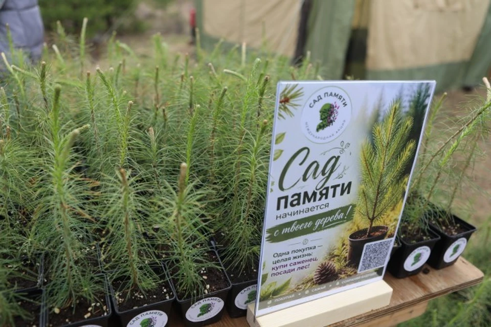 Акция «Сад памяти» в Иркутской области в 2026 году продлится до 16 июня.