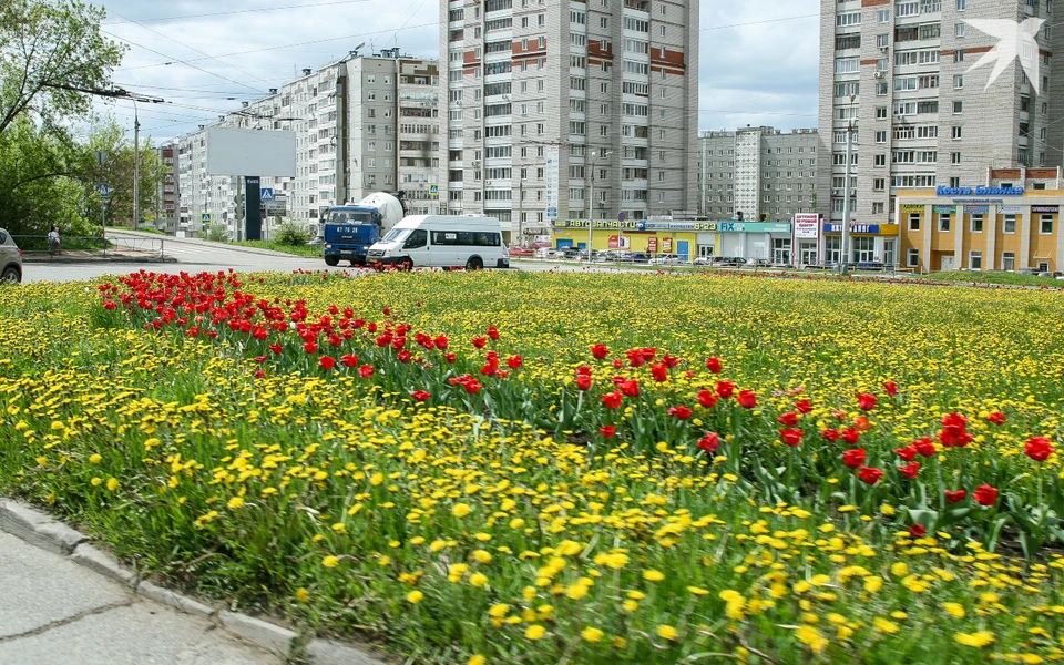 Из-за северо-западного ветра в Ижевске станет чуть прохладнее. Фото: архив редакции