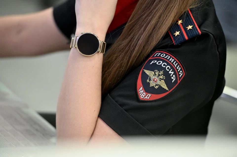 Трехлетняя девочка пропала в Дубне Тульской области