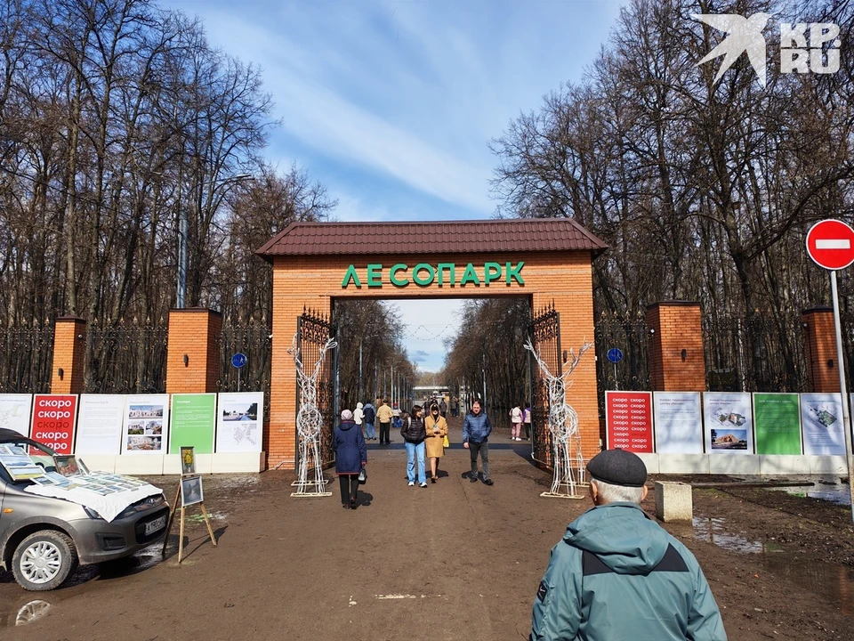 Лесопарк - вечный фаворит в Советском районе Рязани.