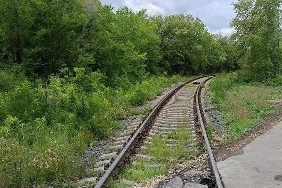 Спасти мужчину не удалось. Фото: Транспортная полиция Сибири