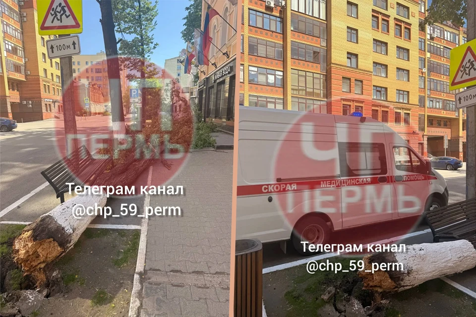 Фото с места происшествия: группа chp_59_perm