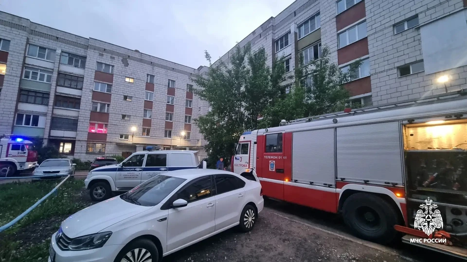 Фото: ГУ МЧС России по Костромской области