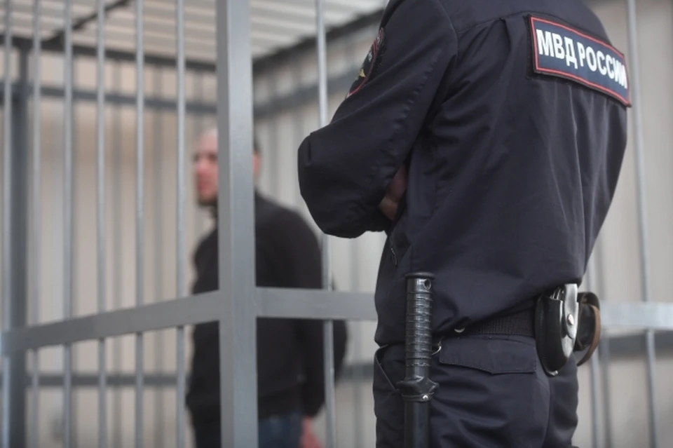 В отношении подозреваемого возбуждено уголовное дело.