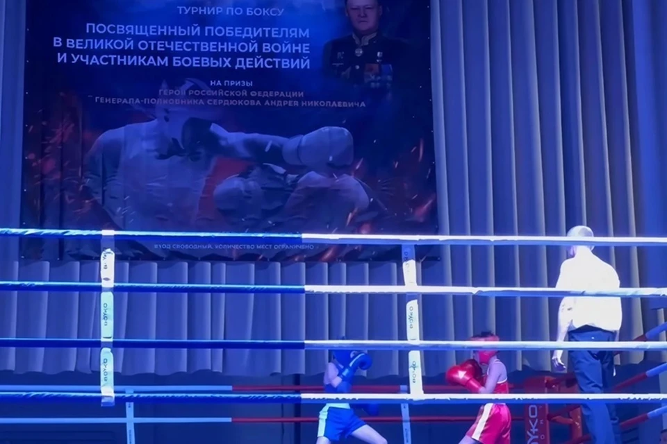 В Амвросиевке состоялось открытие турнира по боксу. Фото: MAX/Швец