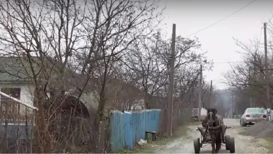 Президент Майя Санду заявила, что в её родном селе Рисипены до сих пор нет водопровода. Фото: скрин с видео
