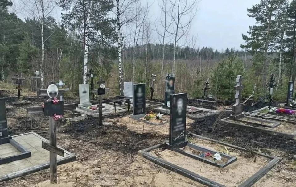 Полиция проведет проверку после пожара на Ново-Сормовском кладбище. ФОТО: телеграм-канал Юрия Шалабаева.