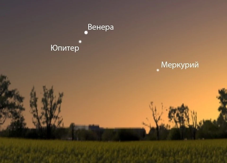 Фото: Университет Решетнева