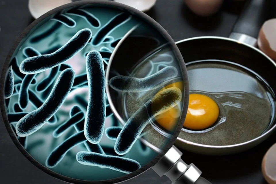 Эксперты выясняют, какой продукт стал причиной массового отравления. Фото: Giovanni Cancemi/Shutterstock/Fotodom