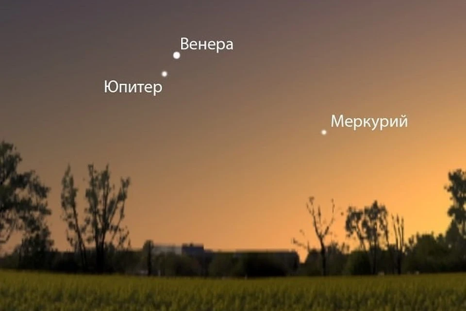 Изображение: sibsau.ru