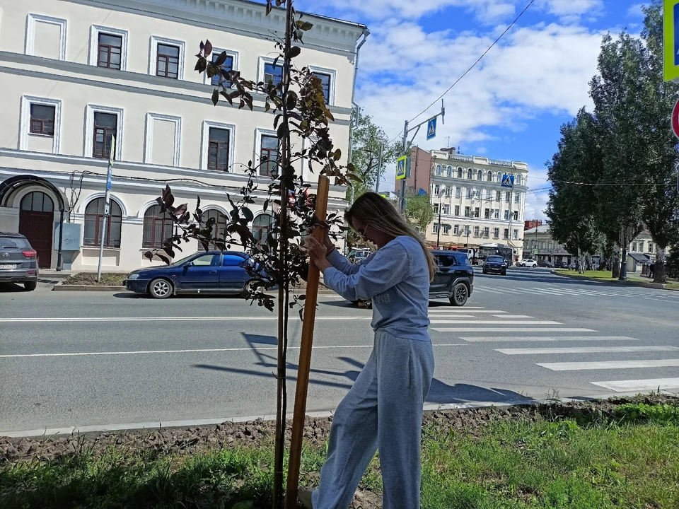 Всего за полчаса неравнодушные люди спасли два молодых деревца. Фото: https://vk.com/an063