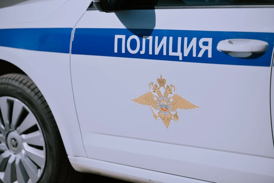 Фигурантке грозит пятилетний тюремный срок