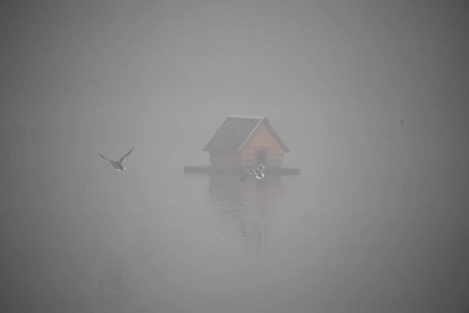 На море прогнозируют туман