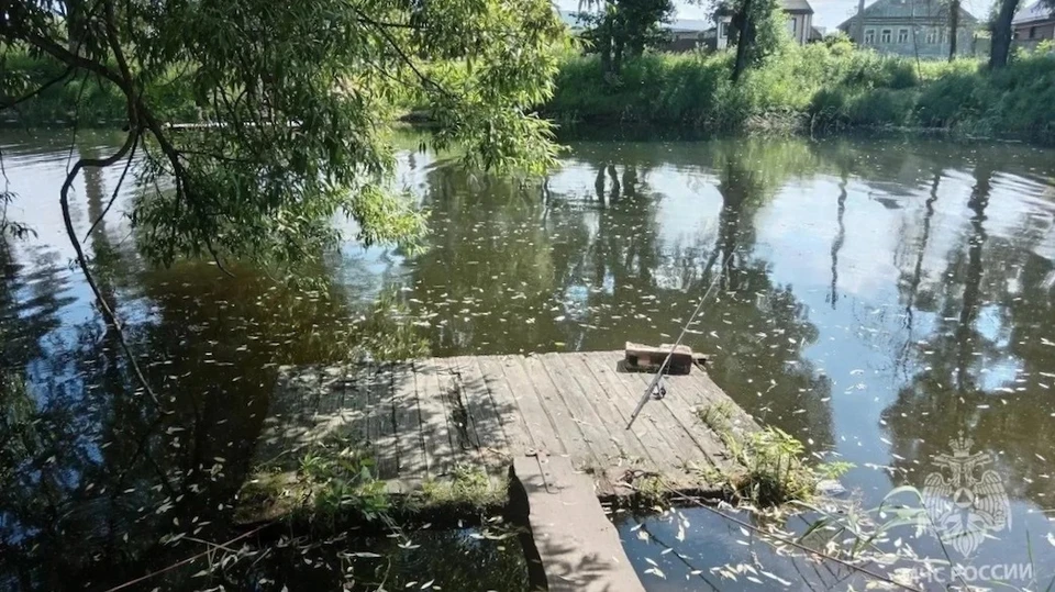 фото ГУ МЧС по Владимирской области