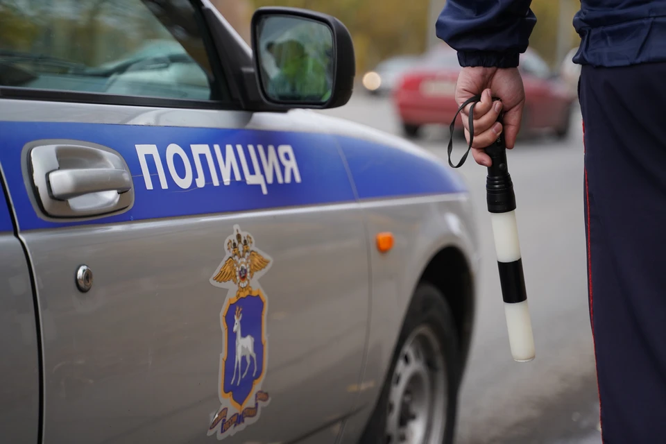 Полицейские провели обыск из-за подозрительного поведения водителя.