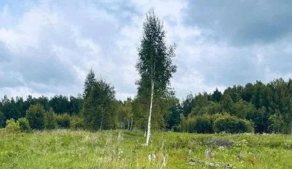 Фото: пресс-служба администрации Костромской области