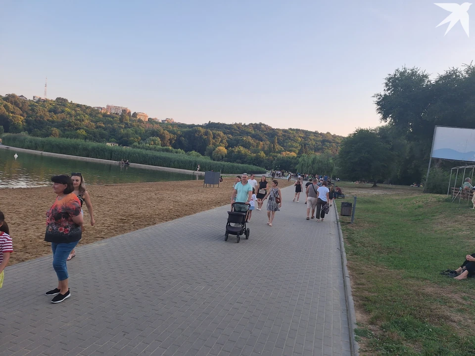 Теперь в парк - только вечером, днем будет слишком жарко. Фото: "КП"