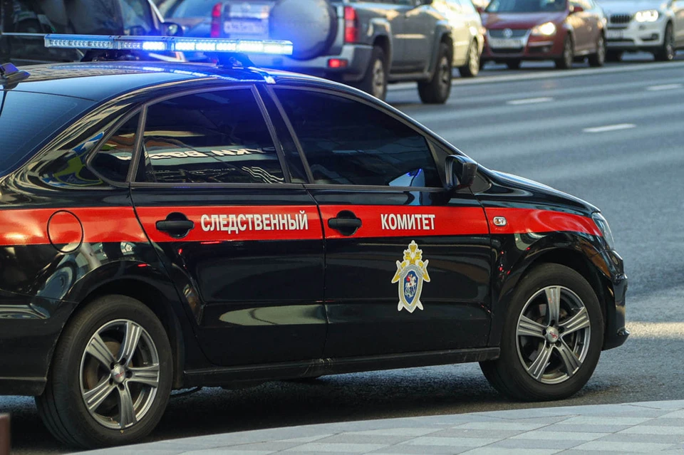 СК просит отправить в СИЗО напавшего на посетителей в ТЦ в Краснодаре. Фото: Bulkin Sergey/news.ru/Global Look Press