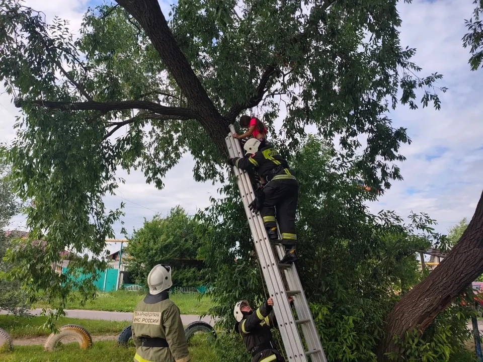 Фото: пресс-служба МЧС по Белгородской области