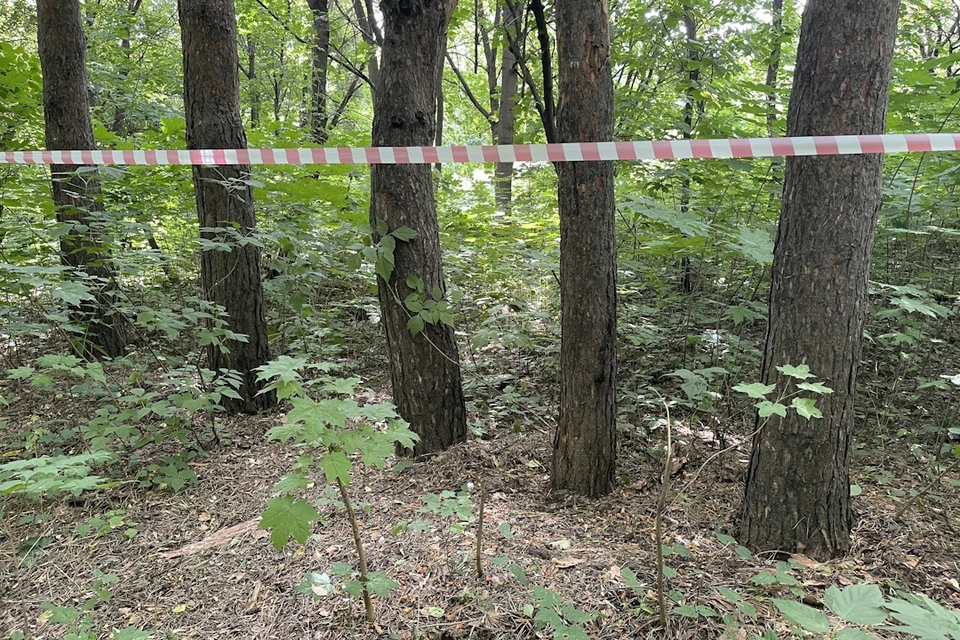Трагедия случилась в одном из хуторов Ростовской области.