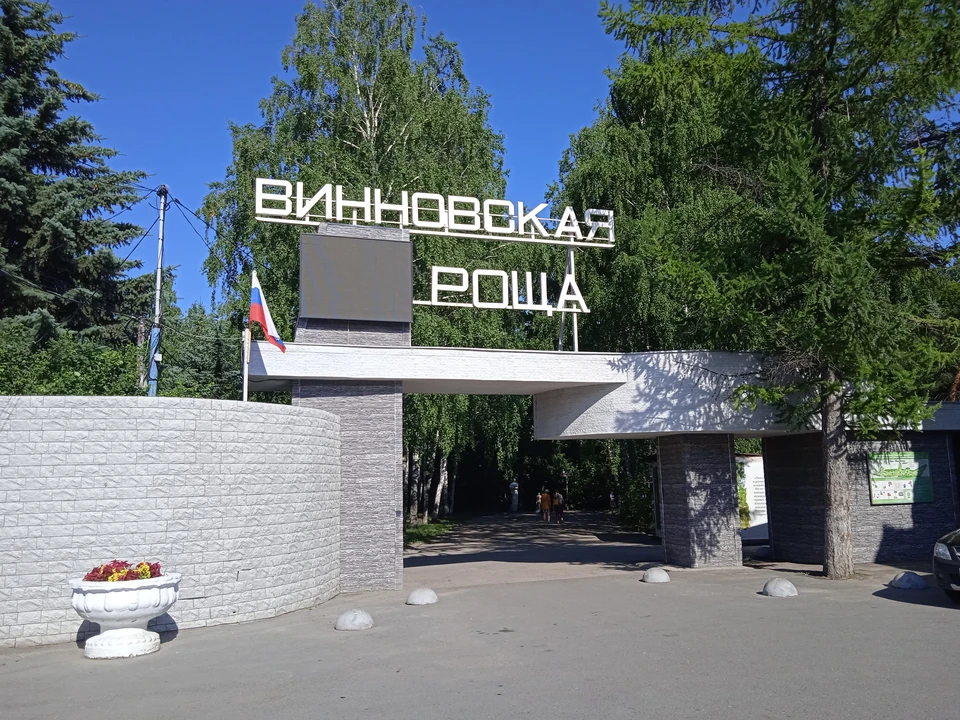 В Винновской роще ловят любителей покататься на автомобиле и мотоцикле