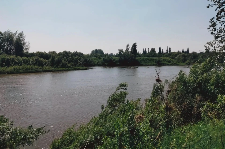 Вода может содержать патогенные микроорганизмы и стать причиной возникновения инфекционных заболеваний и отравлений