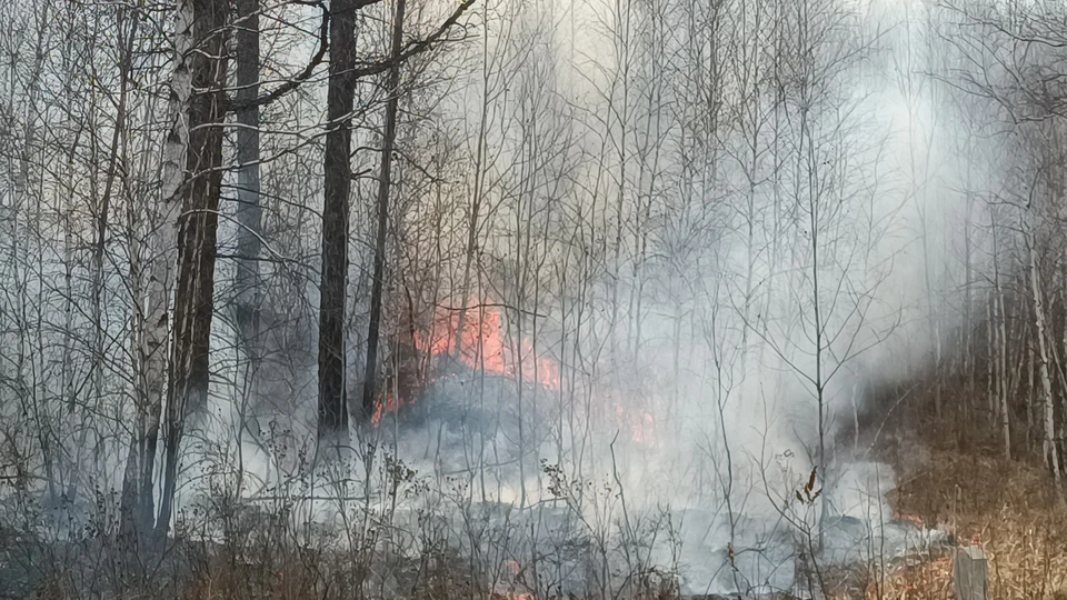 В 15 регионах России ожидается высокая пожарная опасность
