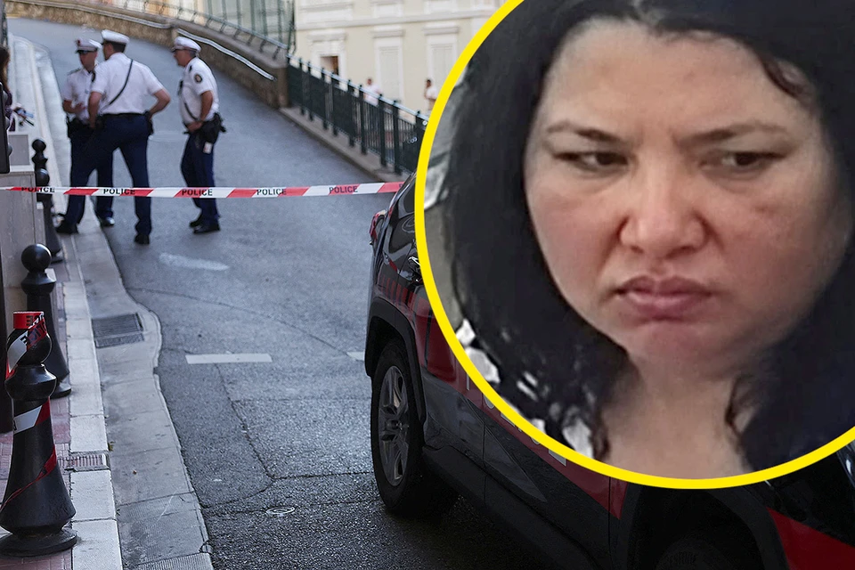 Следователи проследили путь Березовской от места преступления до Германии, где она жила в последнее время.