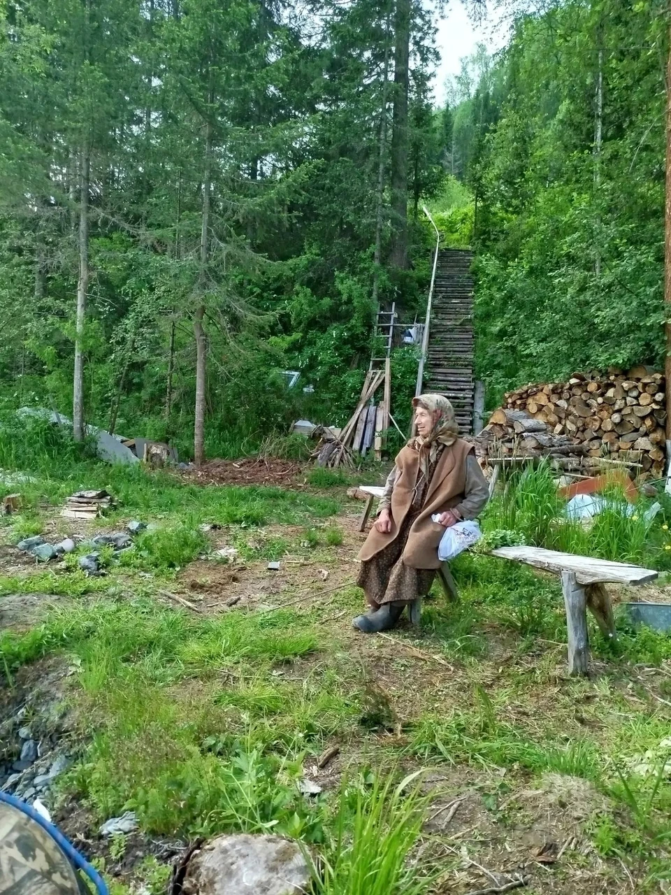 Источник: Заповедник «Хакасский». Правообладатель в рамках служебного произведения: Заповедник «Хакасский»