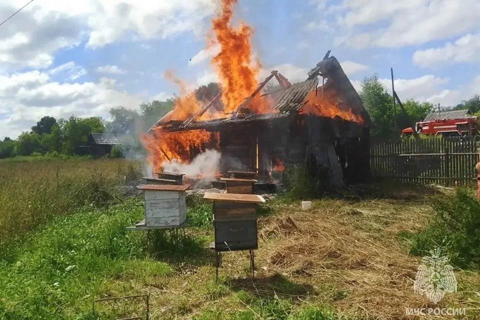 Причины устанавливаются. Фото: пресс-служба ГУ МЧС по Удмуртии