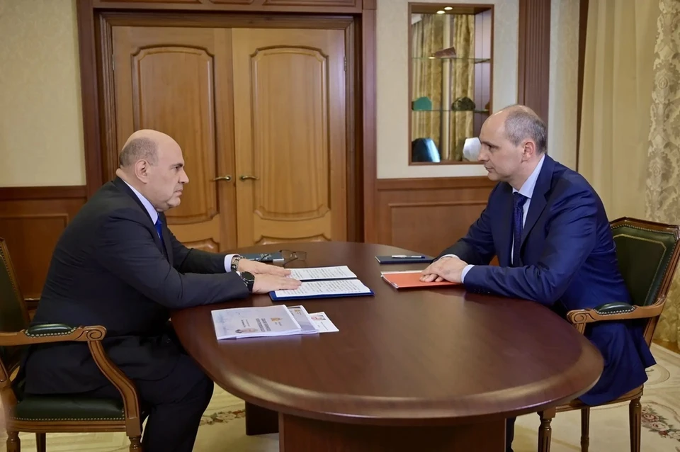 Денис Паслер и Михаил Мишустин обсудили развитие медицинского кластера. Фото: канал Дениса Паслера