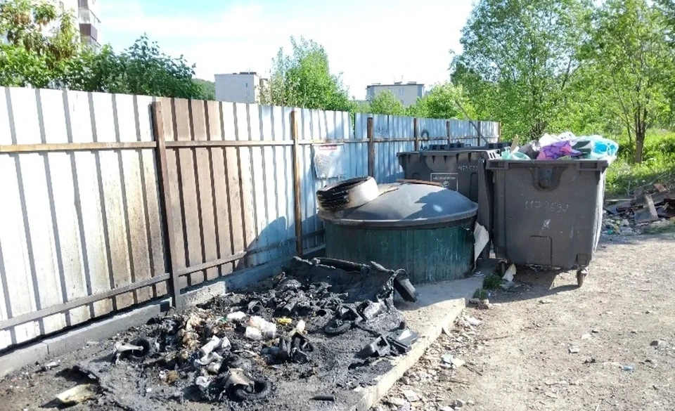 Фото: ЦКС