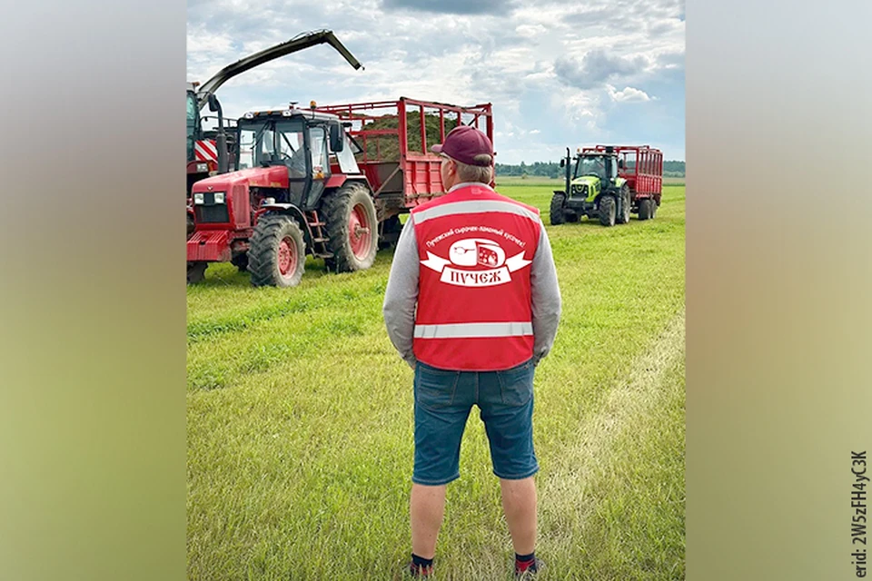 Собственная молочная ферма завода – это СПК «Афанасьевский», где коровы получают качественные корма. ФОТО: из архива предприятия