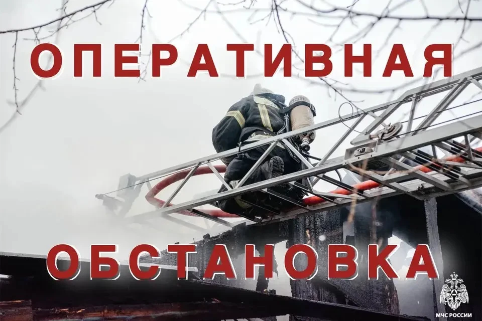Бойцы за неделю ликвидировали 42 техногенных возгорания. Фото: МЧС Тверской области.