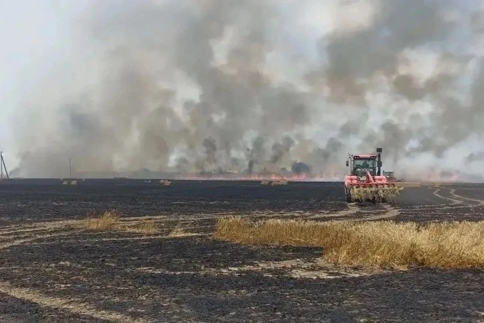 Пожарные спасли 20 гектаров пшеничного поля после возгорания на Ставрополье. Фото: ПАСС СК