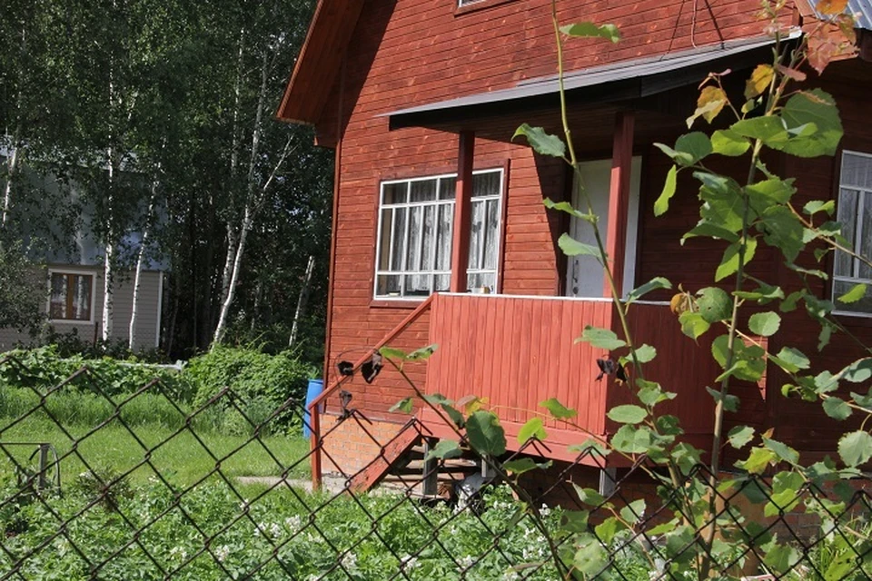 В одном из районов Ростовской области мужчина расправился с матерью.