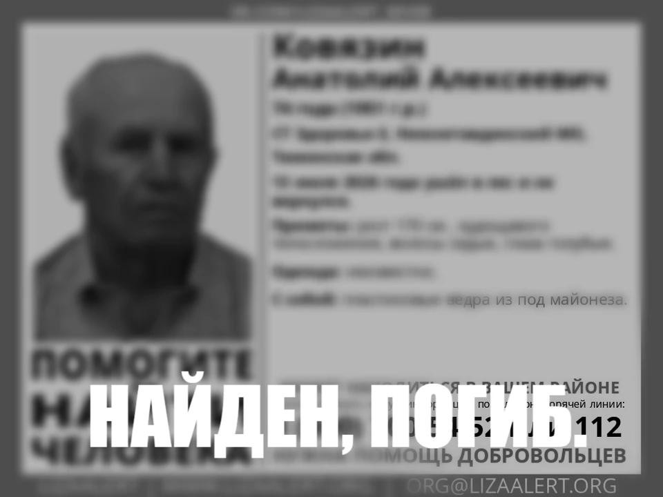 Фото: Поисковый отряд «ЛизаАлерт» Тюменской области.