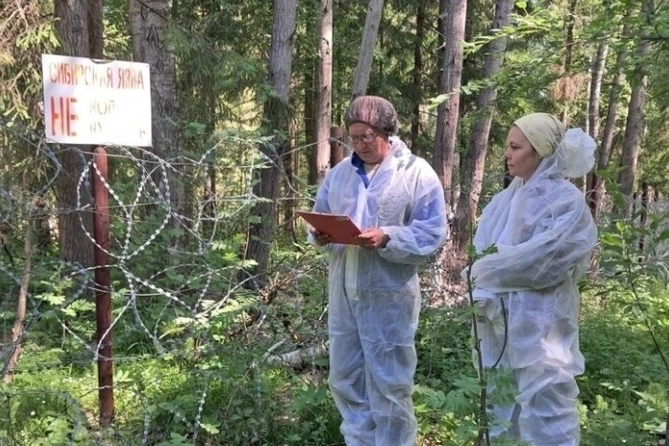 В Удмуртии ликвидируют 42 скотомогильника. Фото: пресс-служба ГУ ветеринарии Удмуртии