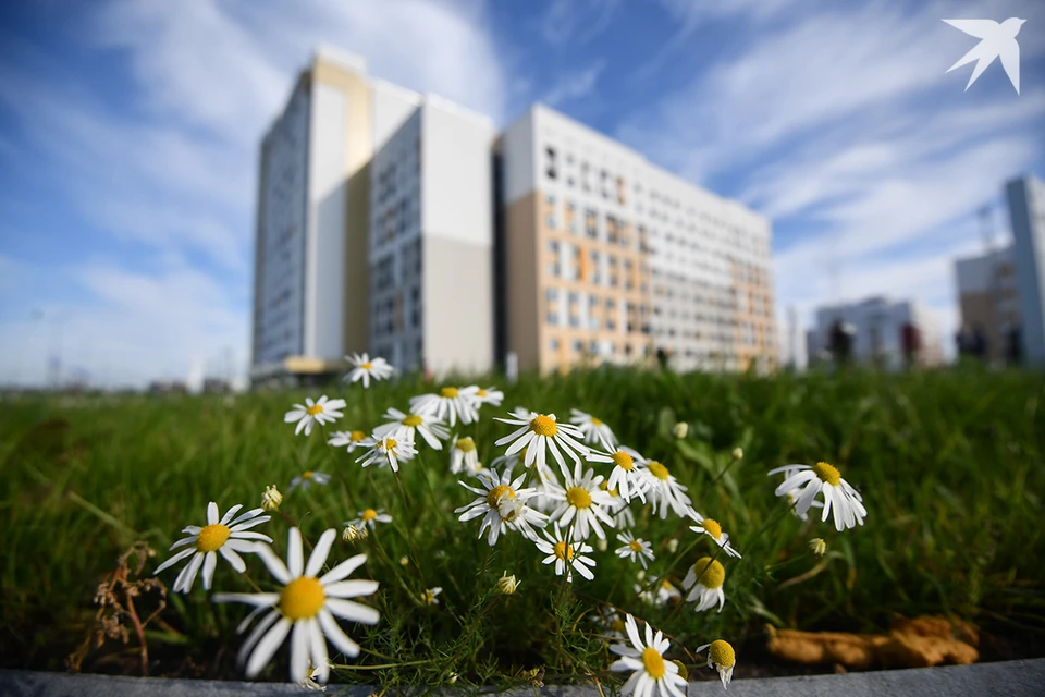 Белорусский психолог сказала, как с помощью одной отпускной привычки переключиться на работу, но не стать «белкой в колесе». Фото носит иллюстративный характер.