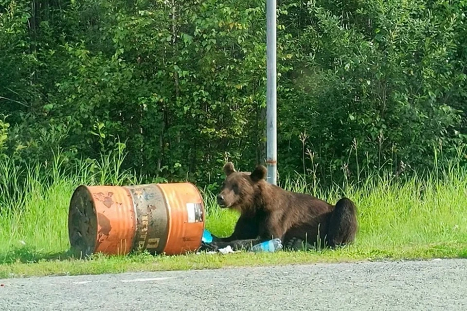 Фото: Природнадзор Югры