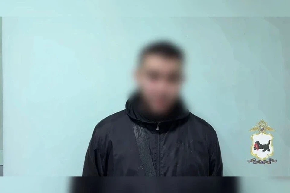 Житель Иркутска предстанет перед судом за передачу 7 SIM-карт мошенникам