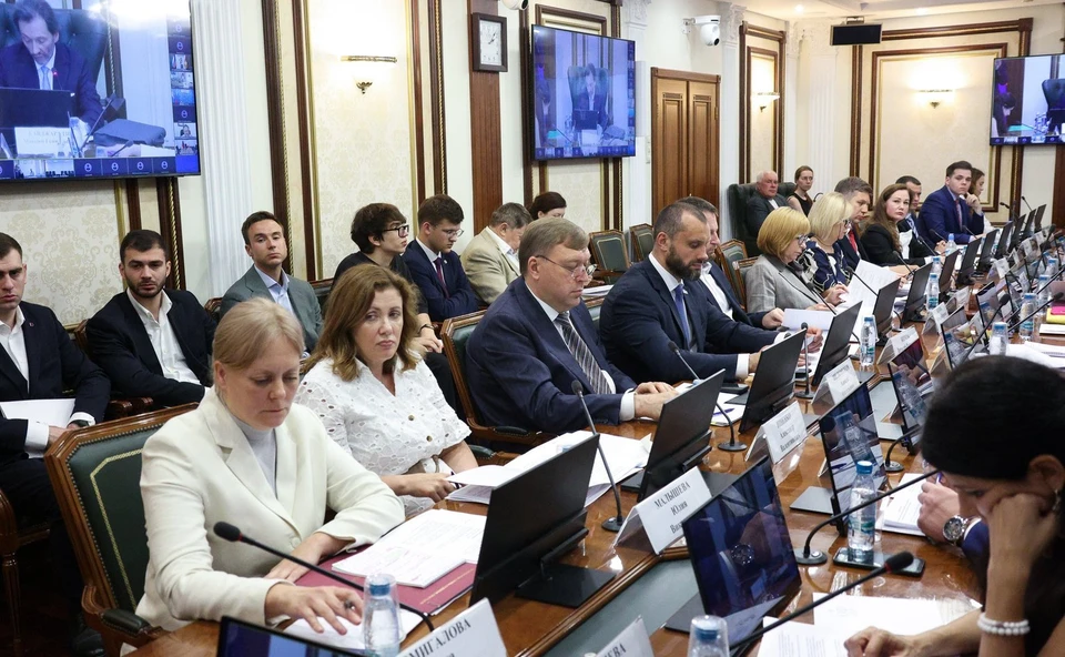 Александр Ищенко предложил максимально перевести взаимодействие судов и службы судебных приставов в электронный формат. Фото: Совет Федерации Федерального Собрания РФ