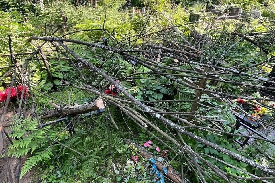 Упавшее дерево повредило оградки и памятники. Фото: телеграм-канал Жесть Ярославль