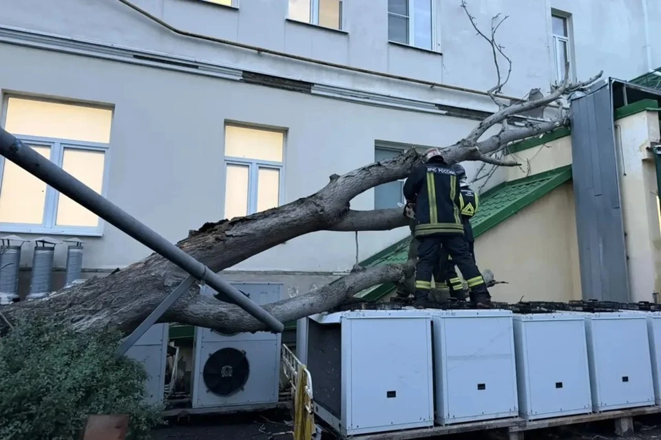 Последствия непогоды ликвидируют десятки аварийных бригад по всему городу. Фото: канал Александра Скрябина в МАХ
