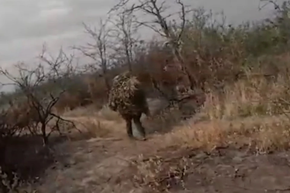 Кадр видео: Минобороны РФ